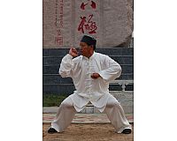 Gebe Kung Fu (Bajiquan) Unterricht für Erwachsene und Kinder