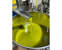 Extra natives Olivenöl, verarbeitet in Italien-Apulien 2023 2024