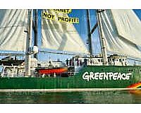 Greenpeace Botschafter*in im Ozeaneum Stralsund gesucht!!!