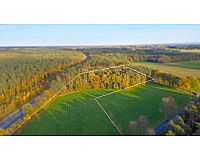 Grünland und Forstflächen in Friedewalde, L770