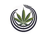 Cannabis Workshop Anbau Prävention Online