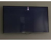 Samsung 55 Zoll Fernseher für Bastler