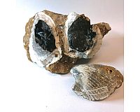 Vivianit in Muschel kristallisiert, Krim, 390g +71g, Mineralien