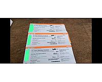 3 Amigos Tickets fürs Licher Wiesenfest am 30.04.2024