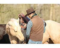 Praktikum auf einer Pferderanch in Spanien