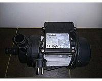 Filterpumpe Steinbach CPS 40-2