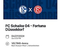 1 Ticket Schalke - Fortuna Düsseldorf 27.4.