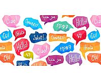 Sprachkurs Französisch, English & Arabich