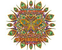 Psychedelic Experience Ticket