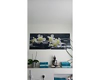 Glasbild Orchideen 125x50cm