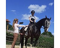Praktika auf Pferdehof Reitschule Berufsbild: Pferdewirt/Trainer