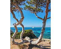 Mallorca Urlaub 10. bis 12. Juli