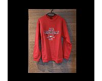 Pullover hoodie Pulli Sweatshirt Shirt sweater warm 164 S M 42 44