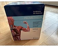 Anatomie Lernkarten Prometheus