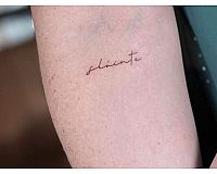 Fineline tattoo Kurs tätowieren lernen 1 Tages Schulung Tattoo