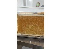Honig zu verkaufen