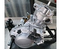 Yamaha DT/TDR/TZR 125 Motorrevision, Regenerierung