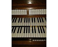 Hobbymusikerin (Piano/Orgel) ...