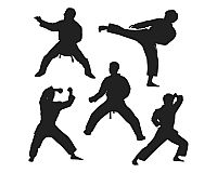 Selbstverteidigung für Kinder — Karate Sport Kampfsport Sportkurs