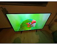 Phlips Fernseher 43 Zoll Smart tv 4K