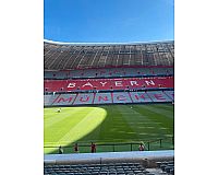 Bayern Frankfurt Tickets direkt am Spielfeld
