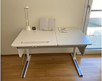 MOLL Schreibtisch + Rollcontainer + Drehstuhl Kombination