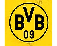 SUCHE BVB-Tickets gegen Union oder Werder
