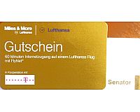 Lufthansa Fly Net Voucher Langstrecke